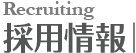 採用情報